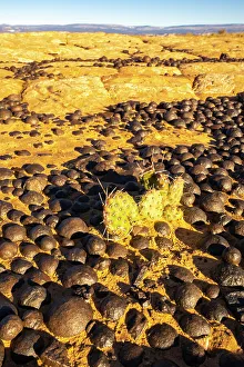 Images Dated 4th October 2022: USA, Utah, Grand Staircase Escalante National Monument. Moqui marbles stones and rocks
