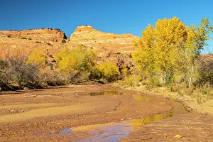 Images Dated 4th October 2022: USA, Utah, Grand Staircase Escalante National Monument