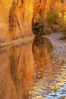 Images Dated 4th October 2022: USA, Utah, Grand Staircase Escalante National Monument. Harris Wash and rock wall