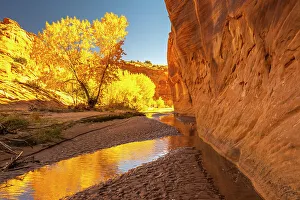 Images Dated 4th October 2022: USA, Utah, Grand Staircase Escalante National Monument