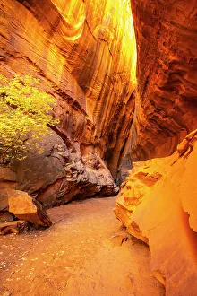 Images Dated 4th October 2022: USA, Utah, Grand Staircase Escalante National Monument