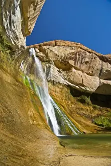 Images Dated 21st September 2008: USA, Utah, Grand Staircase-Escalante National Monument. Lower Calf Creek Falls in