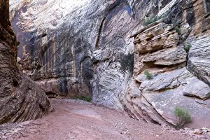 Riverbed Prints: USA, Utah, Grand Wash, Capitol Reef National Park
