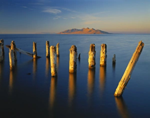 Antelope Island Prints: USA, Utah, Great Basin, Saltair, Great Salt Lake