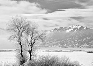 Wasatch Prints: USA, Utah, Heber City, Mount Timpanogos rises above the Deer Creek Reservoir