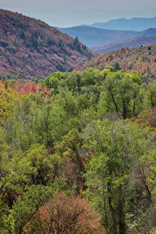 Highway Prints: USA, Utah. Highway 39 as you head West to Ogden with cottonwoods and canyon maple