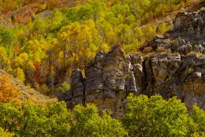 Images Dated 17th March 2022: USA, Utah, Highway 89 and canyon walls of Logan pass with fall colors