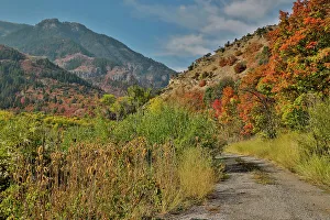 Gravel Prints: USA, Utah, Highway 89 Logan area in autumn colors with the canyon maple and gravel track