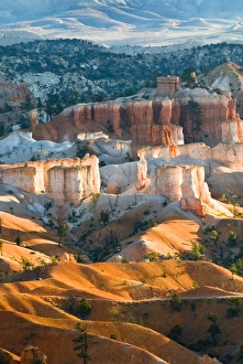 Images Dated 10th November 2008: USA, Utah. Hoodoo formations in Bryce Canyon National Park