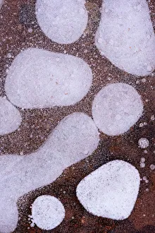 Ice Bubble Prints: USA, Utah. Ice bubble formations Arches National Park