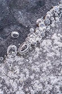 Ice Bubble Prints: USA, Utah. Ice bubble formations Arches National Park