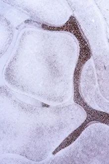 Ice Bubble Prints: USA, Utah. Ice bubble formations Arches National Park