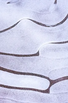 Ice Bubble Prints: USA, Utah. Ice bubble formations Arches National Park