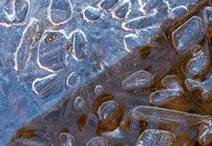 Ice Bubble Prints: USA, Utah. Ice formations Arches National Park