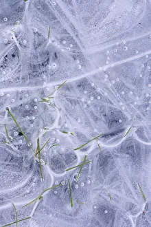 Bubble Prints: USA, Utah. Ice formations Arches National Park