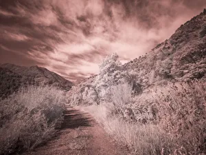 USA, Utah, Infrared of backroad in the Logan Pass area