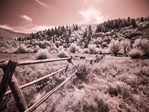 Images Dated 13th September 2021: USA, Utah, Infrared of the Logan Pass area with long rail fence