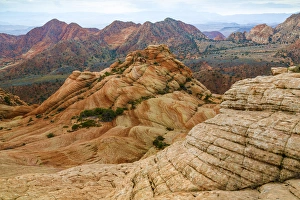 Images Dated 20th November 2013: USA, Utah. Landscape in Dixie National Forest