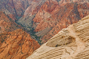 Images Dated 20th November 2013: USA, Utah. Landscape in Dixie National Forest