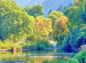 Images Dated 2022 August: USA, Utah, Logan Canyon. Colorful aspens in autumn