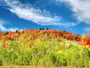 Logan Canyon Prints: USA, Utah, Logan Pass. Colorful autumn in Provo Pass