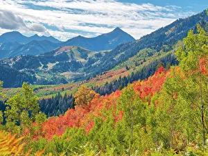 Logan Canyon Prints: USA, Utah, Logan Pass. Colorful autumn in Provo Pass