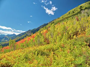 Logan Canyon Prints: USA, Utah, Logan Pass. Colorful autumn in Provo Pass