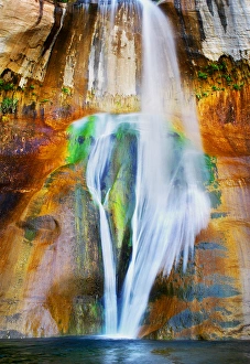 Slickrock Prints: USA Utah Lower Calf Creek Falls