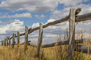 Images Dated 28th September 2015: USA, Utah, Manti-La Sal National Forest. Old wooden fence