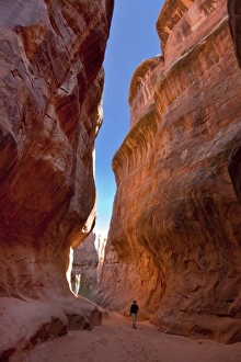 Images Dated 5th October 2009: USA, Utah, Moab, Arches National Park, Fiery Furnace Credit as