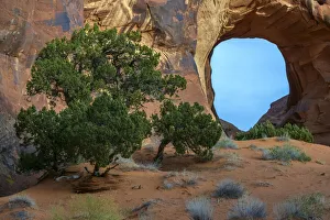 Images Dated 13th September 2019: USA, Utah, Monument Valley. Landscape with sandstone formations and trees