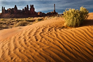 Images Dated 30th April 2009: USA, Utah, Monument Valley Navajo Tribal Park. Sand dunes with Totem Pole in background