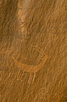 Images Dated 15th November 2008: USA, Utah, Monument Valley Navajo Tribal Park. Petroglyphs on stone wall. Credit as