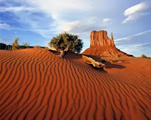 USA, Utah, Monument Valley. Wind creates ripples in this sand dune in Monument Valley, Utah