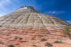 USA, Utah, Morning sunlight lights up the sandstone cliffs of Zion National Park