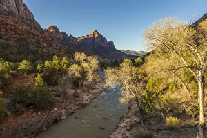 Images Dated 11th August 2020: USA, Utah, Morning sunlight lights up the sandstone cliffs of Zion National Park