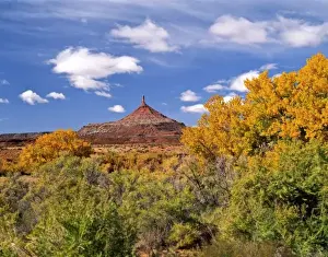 Bernie Friel Prints: USA, Utah, near Canyonlands National Park on Bureau of Land Management Land, North