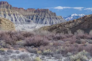 Images Dated 11th August 2020: USA, Utah, Panoramic view of Bears Ears National Monument