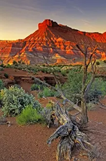 Juniper Prints: USA, Utah. Paria Canyon sandstone formation at sunset