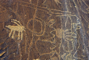 Images Dated 12th December 2012: USA, Utah, Petroglyphs, Sandstone