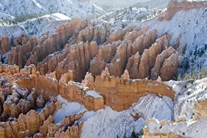 USA - Utah. Pillars of limestone at Bryce Canyon National Park after snowstorm at sunrise