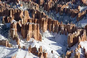 USA - Utah. Pillars of limestone at Bryce Canyon National Park after snowstorm at sunrise