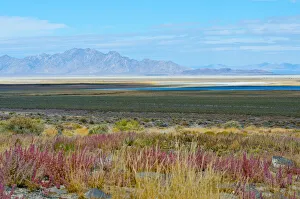 Landscape-Scenic Prints: USA, Utah. Pony Express Road, Fish Springs National Wildlife Refuge scenic landscape