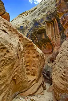 Slot Canyon Prints: USA, Utah, San Rafael Swell. Sculptured sandstone formations in narrows of Little