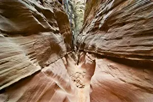 Images Dated 22nd September 2008: USA, Utah, San Rafael Swell. Sculptured sandstone formations in narrows of Little
