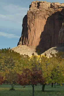 USA, Utah. Sandstone cliff face and orchard, Capital Reef National Park