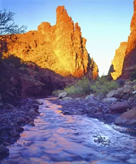 Images Dated 6th June 2007: USA, Utah, A stream near Fisher Towers. Credit as: Christopher Talbot Frank / Jaynes