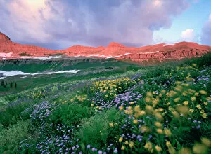 Images Dated 10th July 2006: USA, Utah, Timpanogos Wilderness, Mt, Mountain Lupine (Lupinus argenteus) and Indian