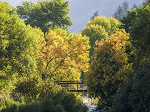 Images Dated 14th September 2021: USA, Utah. Trail bridge across the Logan River along Logan Canyon in autumn