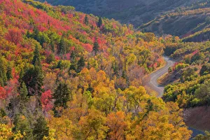 Uinta National Forest Prints: USA, Utah, Uinta National Forest. Landscape with Nebo Loop Road